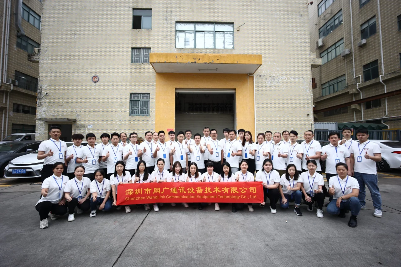 wanglink company peoples