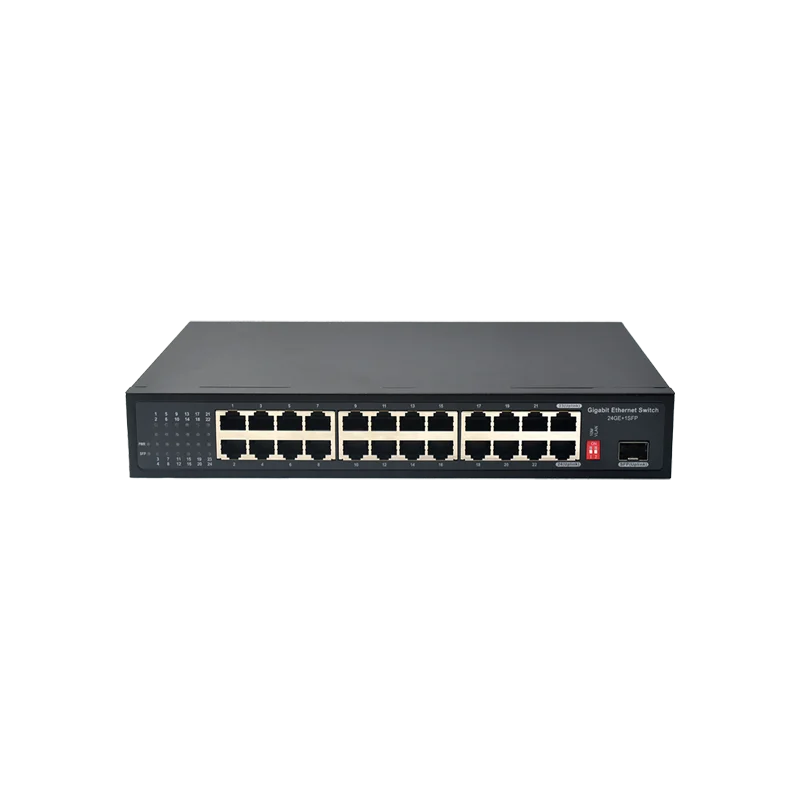 Gigabit Ethernet switches